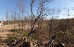 000 Freemont, Pineville, MO 64856