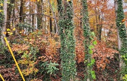 0 Gardenia Drive NW, Atlanta, GA 30314