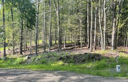 Evergreen Drive, Greentown, PA 18426