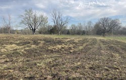 7229 Apple Road, Sarcoxie, MO 64862