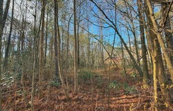 213 Saddlewood Drive, Goldsboro, NC 27354