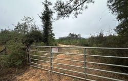Parcel D2 Millside Road, Laurel Hill, FL 32567