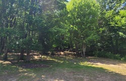 4551 Deer Cove Road, Custer, MI 49405