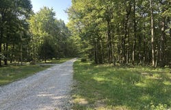 Running Deer, Crab Orchard, TN 37723