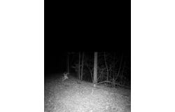 1850 Toler Creek Road, Harold, KY 41635