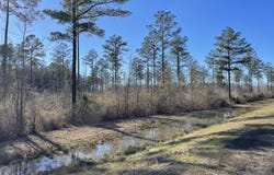 MS-44 lot: 1, Columbia, MS 39429