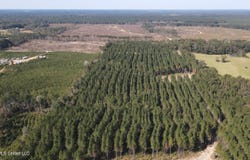 Loyd Irby Road, Pelahatchie, MS 39145