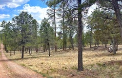 Par 007h Chevelon Rd, Heber, AZ 85928