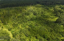 2002 Bala Chitto Road, Magnolia, MS 39652
