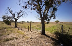 Tbd Fm-1722, Ennis, TX 75119