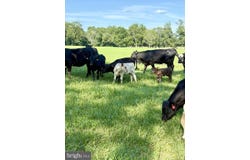 0 ROCK MILLS RD, WOODVILLE, VA 22749