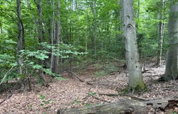 0000 S Bridle Trail, Empire, MI 49630