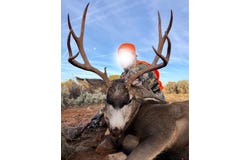 Highway 491, Pleasant View, CO 81331