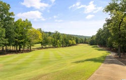 1319 LEGACY DRIVE, HOOVER, AL 35242