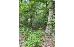 Prettiest Sunset Lot #5 Way, Seymour, TN 37865