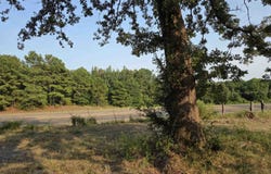 738 US HWY 259N, Ore City, TX 75683