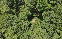 000 Hale Mountain  RD, Canehill, AR 72717