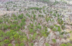 Gaston Road, Mount Ida, AR 71957