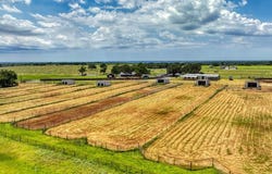990 Doss Road, Millsap, TX 76066