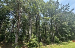 Lot 1-e Ridge Road, Appling, GA 30802