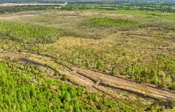Tbd Alligator Road, Olar, SC 29843