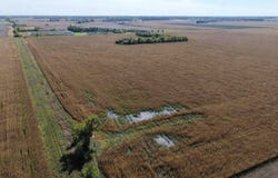 Land Auction Section 19-137-51, Davenport, ND 58021