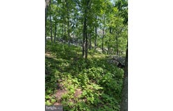 REED ROAD, KNOXVILLE, MD 21758