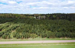 XXXXX County Rd 104, Barnum, MN 55707-8824