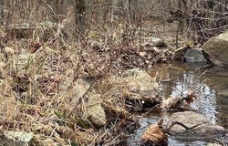 Lot 77 Mustang Drive, Clinton, AR 72031
