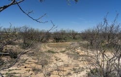 218 Co Rd 114, Ballinger, TX 76821