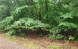 Overcrest Dr, Sims, AR 71969-9999