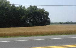 32274 VINES CREEK ROAD, DAGSBORO, DE 19939