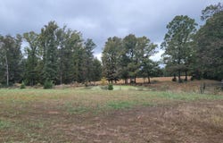 Hawknest Trail, Long Lane, MO 65590