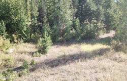 Riverbend Ridge lot: 1, Sagle, ID 83860