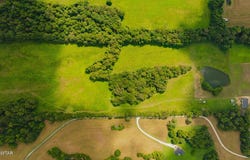 110 S J Hickerson Road, Trenton, TN 38382