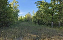 240 acres Cooper Road, Gulliver, MI 49840