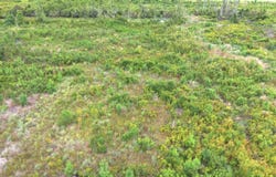 Vacant E Washington Highway, Monticello, FL 32344