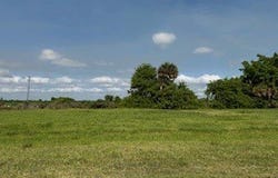304 Mustang Avenue NW, Moore Haven, FL 33471