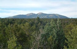 De Oro Way, Hesperus, CO 81326