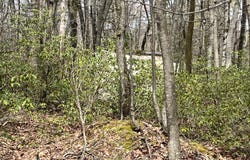 74 & 75 ELM Drive, Catawissa, PA 17820