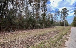 13619 CRABAPPLE Lane, Franklinton, LA 70438