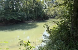 975 S Magnolia South Street, Whitwell, TN 37397