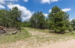 8719 Ponderosa Pine Drive, Beulah, CO 81023