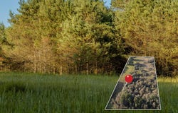 Lot 4 E Arthur Road, Rothbury, MI 49452