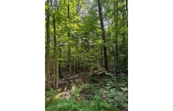 5.2ac Dutton Road, Gloucester, VA 23061