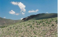 WILLOW SPRINGS RANCH Lot: 35, San Antonio, NM 87832
