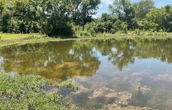 18228 Fm-56, Kopperl, TX 76652