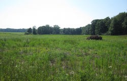 0 Blackmer Road, Ravenna, MI 49451