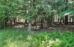 204 Bauer Rd, Averill Park, NY 12018