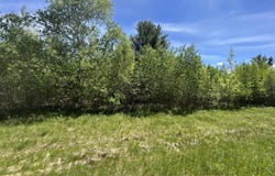 Military Turnpike, Plattsburgh, NY 12901